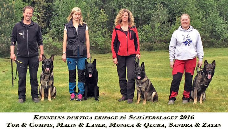 2016 Schaferslaget