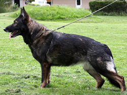 Rapport's Debra