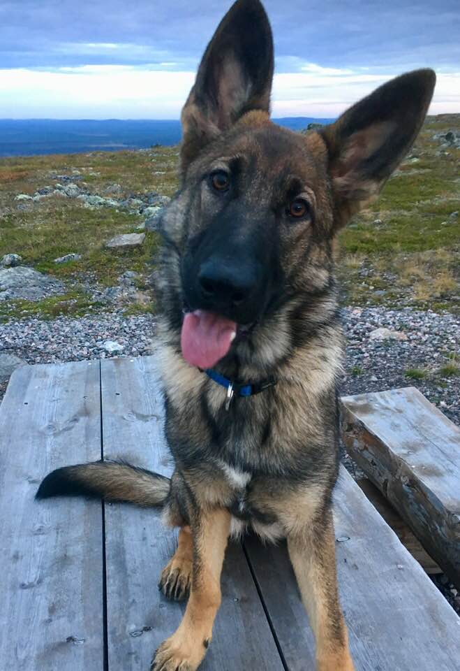 Rimma