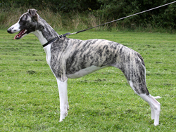 Sally2008 08 17 2392
