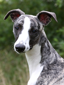 Sally2008 08 17 2406